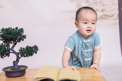 忻州可爱的企鹅宝宝
